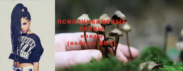 прущие крисы Богородицк