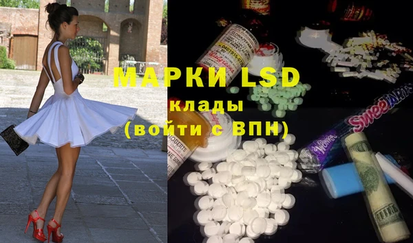PSILOCYBIN Богданович
