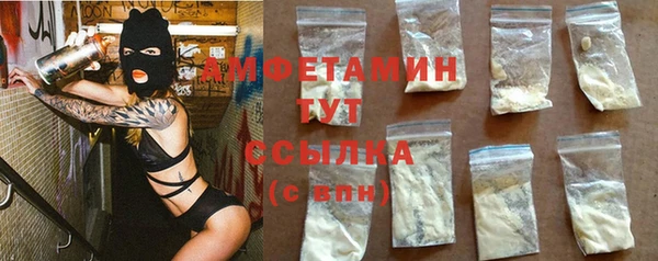 PSILOCYBIN Богданович