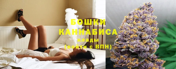 PSILOCYBIN Богданович