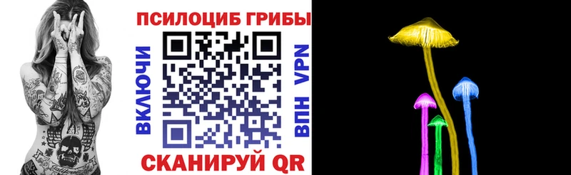сколько стоит  ОМГ ОМГ   Галлюциногенные грибы Magic Shrooms  Монино 