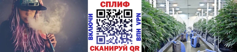 Канабис ГИДРОПОН  mega   darknet официальный сайт  Монино 